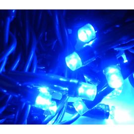 10 m 100 LED Outdoor Girlande Blau mit grünem Kabel 